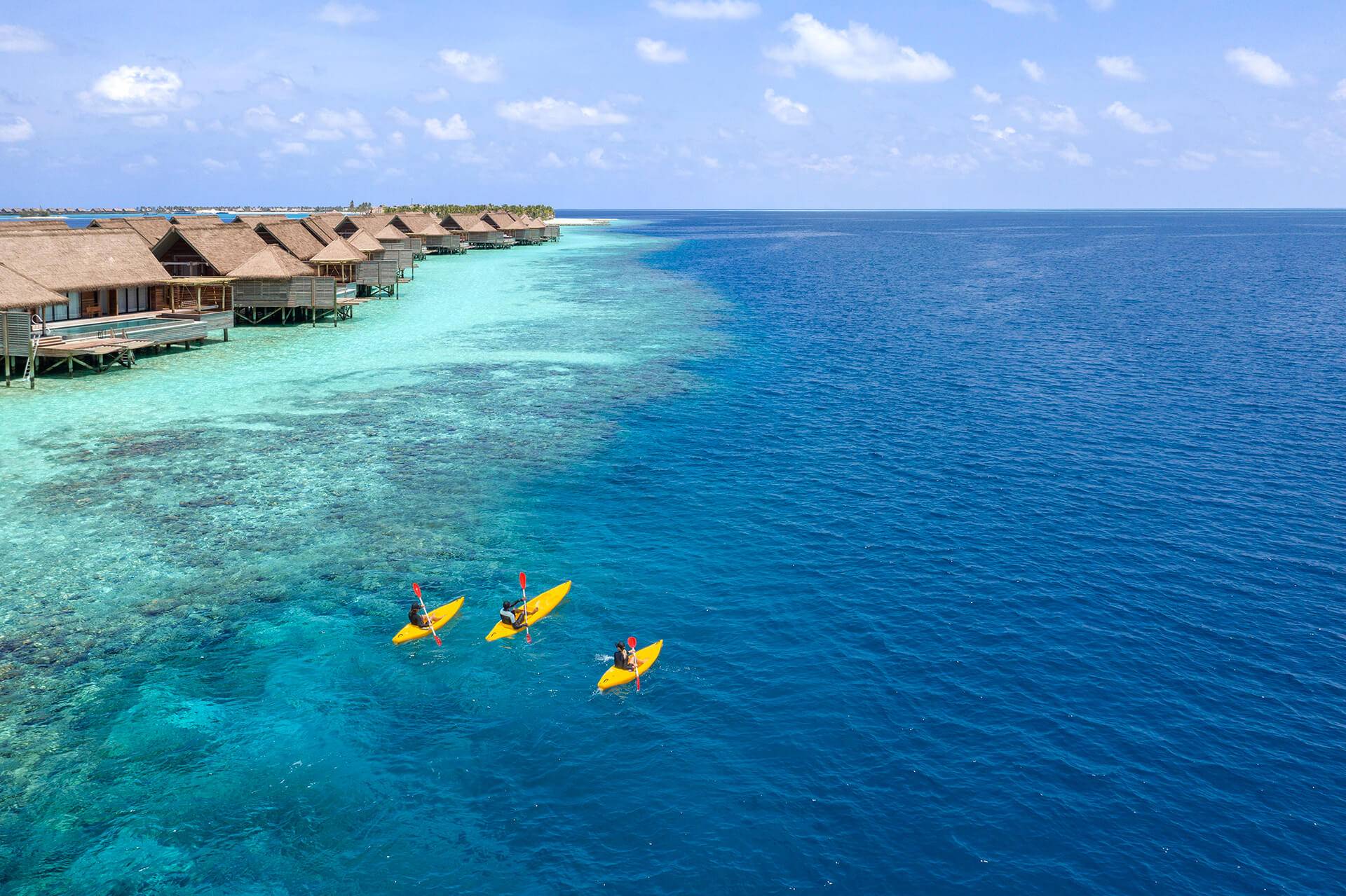 Waldorf Astoria Tree Restaurant Waldorf Astoria Maldives