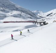 {{brizy_dc_image_alt imageSrc=